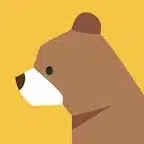 Brainybear 1 Brainybear