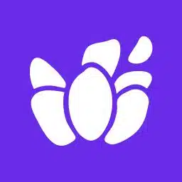 Lavender 1 Lavender